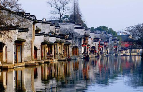 小犀牛救援
